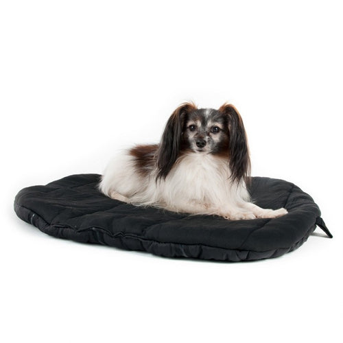 Dog Travel Beds