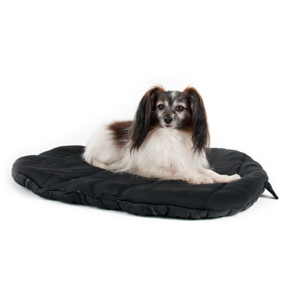 Dog Travel Beds