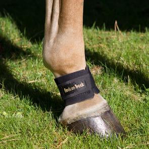 Pastern Wrap