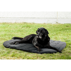 Dog Travel Beds