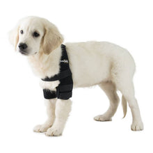 Load image into Gallery viewer, Dog Elbow Pad - by OrtoCanis