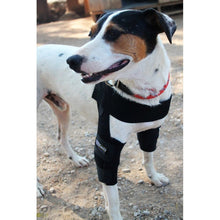 Load image into Gallery viewer, Dog Elbow Pad - by OrtoCanis