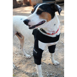 Dog Elbow Pad - by OrtoCanis