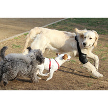 Load image into Gallery viewer, Dog Elbow Pad - by OrtoCanis