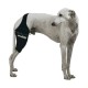 Load image into Gallery viewer, Dog Cruciate Ligament / Knee brace - by OrtoCanis