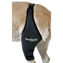 Load image into Gallery viewer, Dog Cruciate Ligament / Knee brace - by OrtoCanis