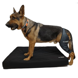 Dog Cruciate Ligament / Knee brace - by OrtoCanis